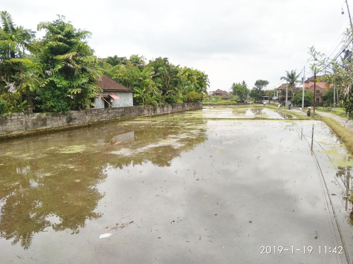 Bhuana Alit 2 Ubud Dış mekan fotoğraf