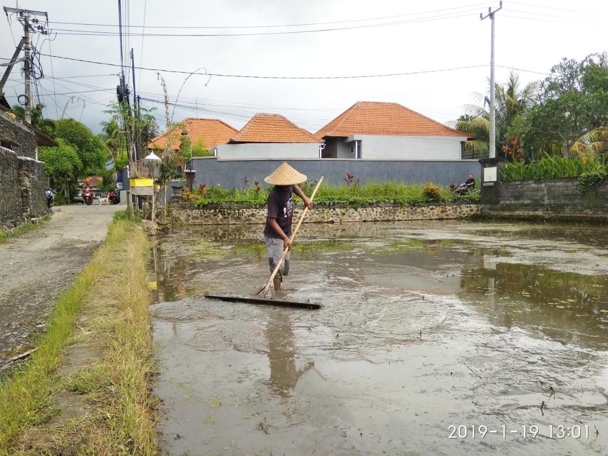 Bhuana Alit 2 Ubud Dış mekan fotoğraf
