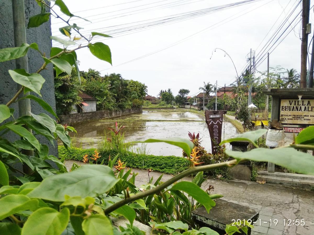 Bhuana Alit 2 Ubud Dış mekan fotoğraf