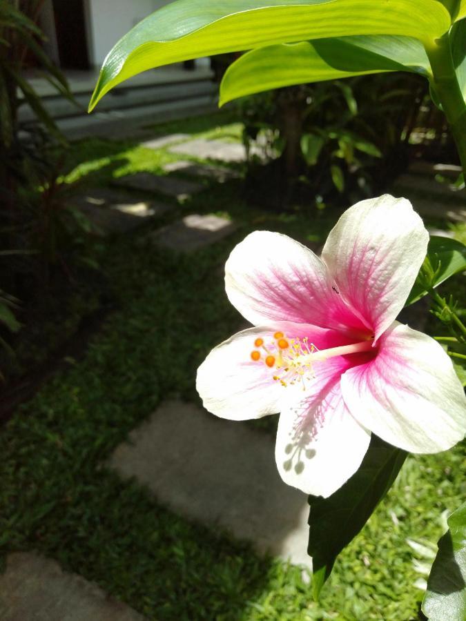 Bhuana Alit 2 Ubud Dış mekan fotoğraf